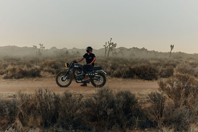 Ciaran's Bonneville T100 Scrambler Build
