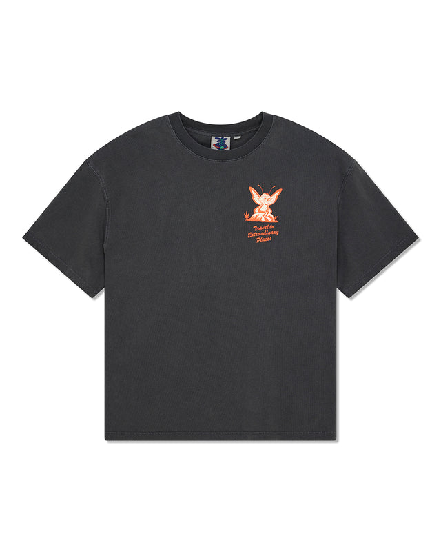 24 HR TEE - ANTHRACITE